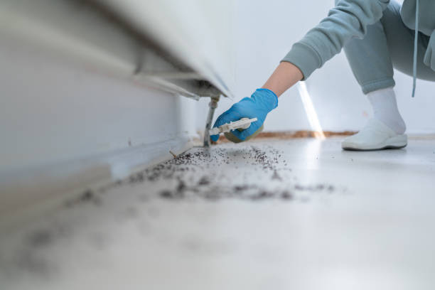 Pest Control Cost in Biola, CA